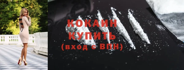 ешки Вяземский