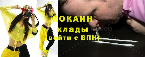 ешки Вяземский