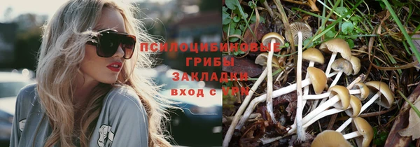 ешки Вяземский