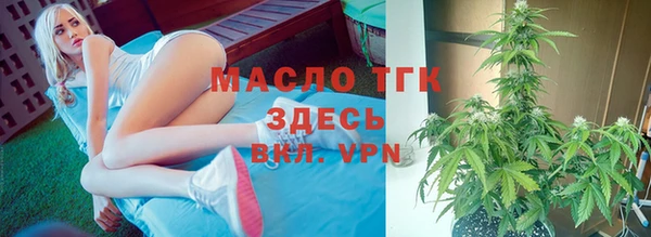 ешки Вяземский