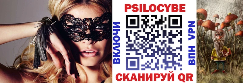 Псилоцибиновые грибы Cubensis  Купить закладки  Боровичи 
